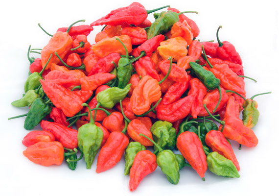Grow it yourself: Ghost Pepper