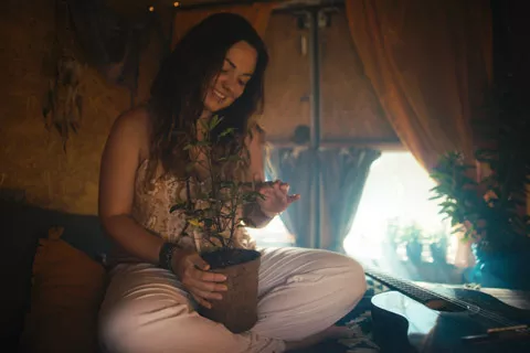 One system that gives one outcome = Excellent Yields