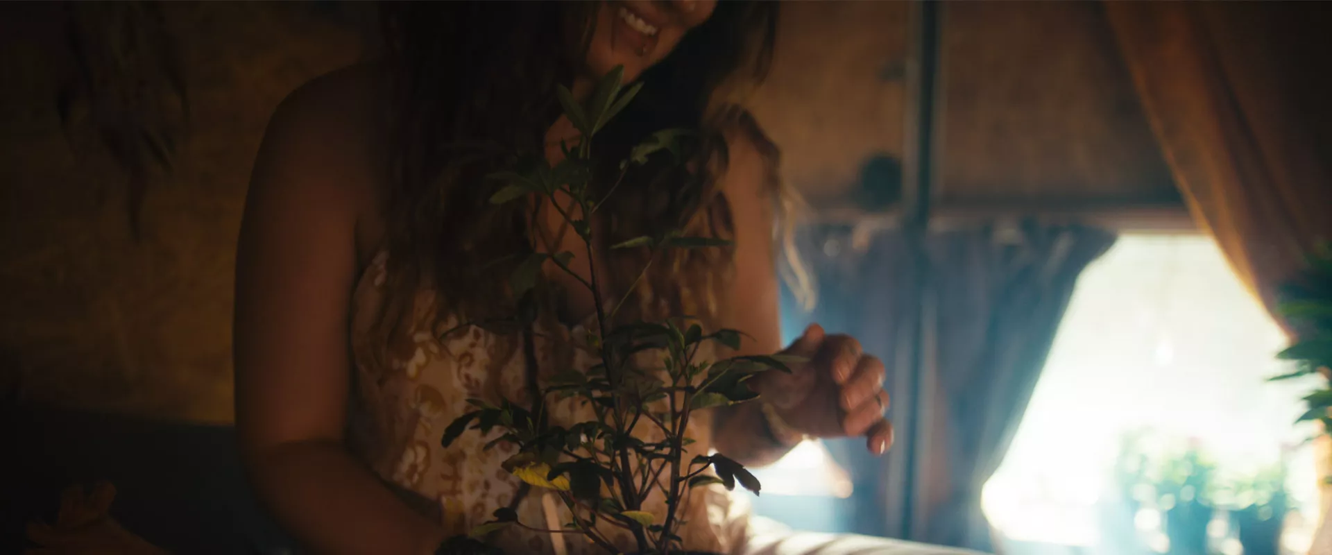 You Can't Grow Wrong