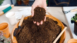 Determining the volume and density of soil improvers and growing media: A brief guide for growers